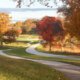 Nature trails at Valley Forge