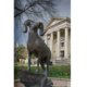 West Chester University Ram statue